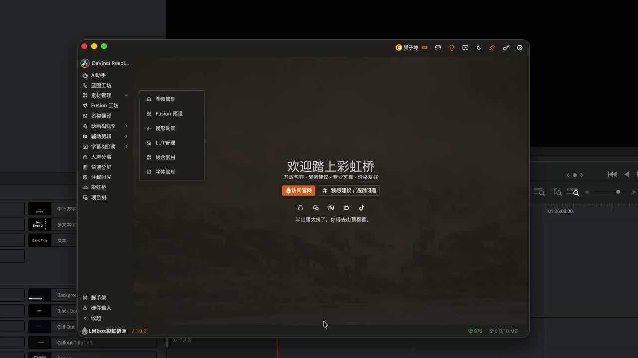 达芬奇侧栏差异