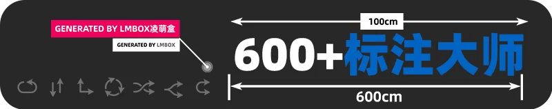 600+标注大师